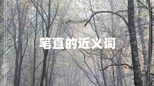 笔直的近义词