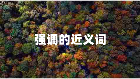 强调的近义词