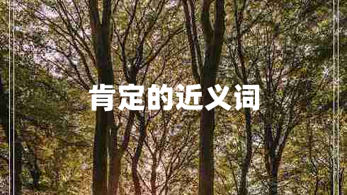 肯定的近义词