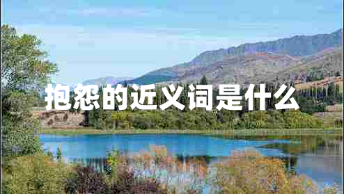 抱怨的近义词是什么