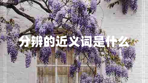 分辨的近义词是什么