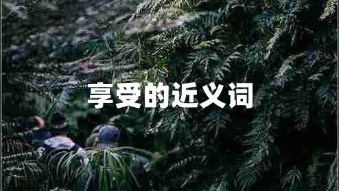 享受的近义词