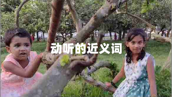 动听的近义词