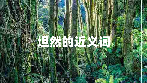 坦然的近义词