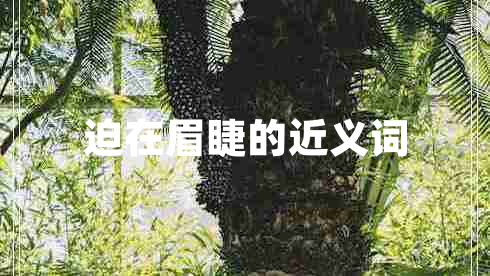 迫在眉睫的近义词