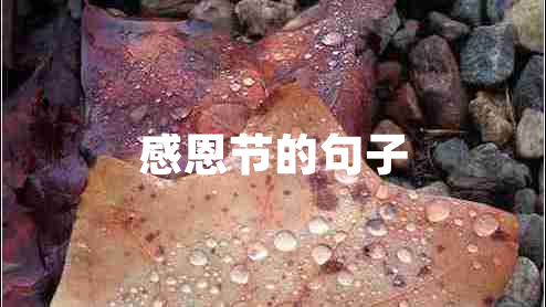 感恩节的句子