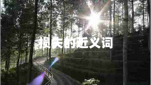 损失的近义词