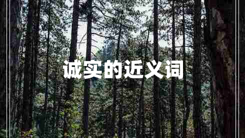 诚实的近义词
