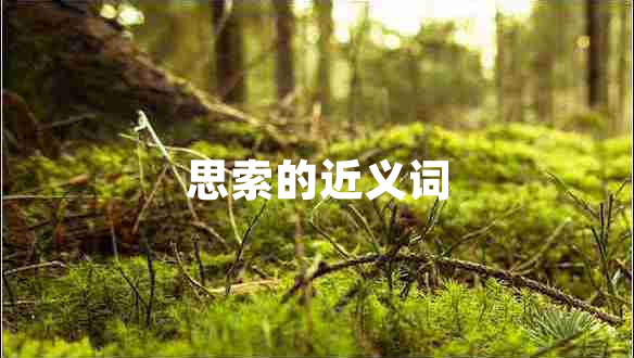 思索的近义词