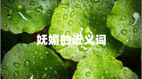 妩媚的近义词