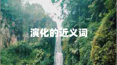 演化的近义词
