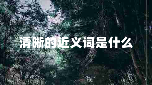 清晰的近义词是什么