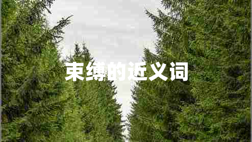 束缚的近义词