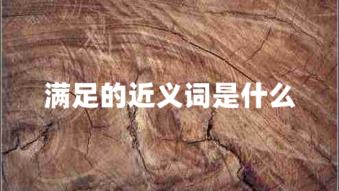 满足的近义词是什么