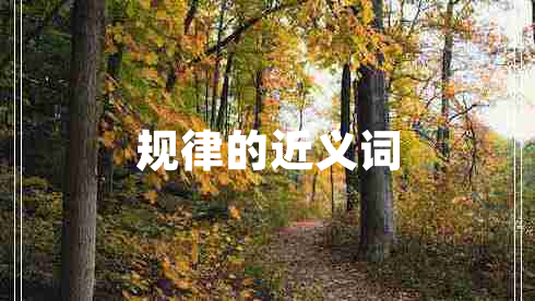 规律的近义词