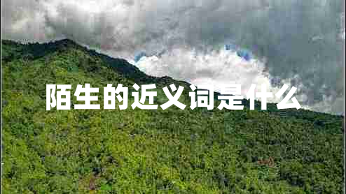 陌生的近义词是什么