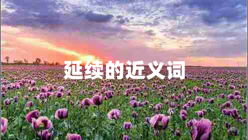延续的近义词