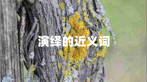 演绎的近义词
