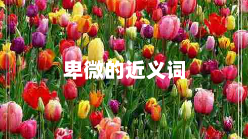 卑微的近义词