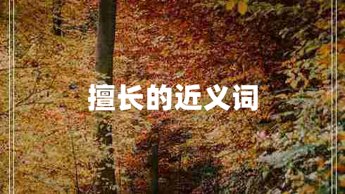 擅长的近义词
