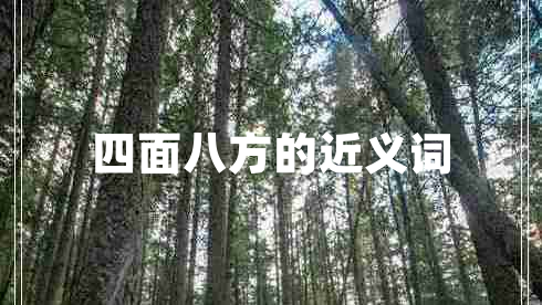 四面八方的近义词