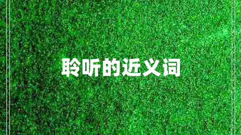 聆听的近义词