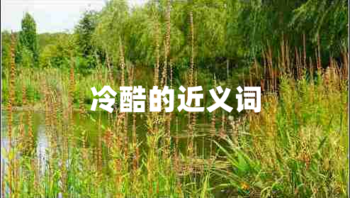 冷酷的近义词