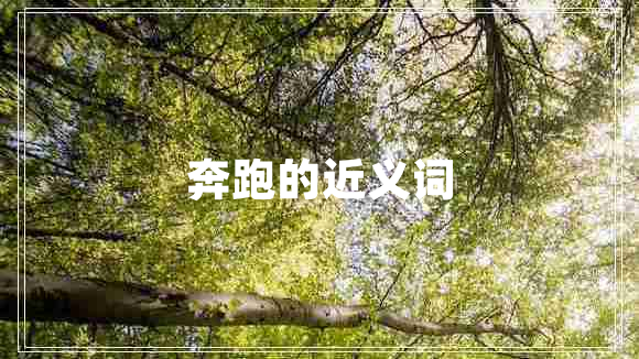 奔跑的近义词