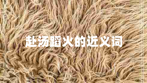 赴汤蹈火的近义词