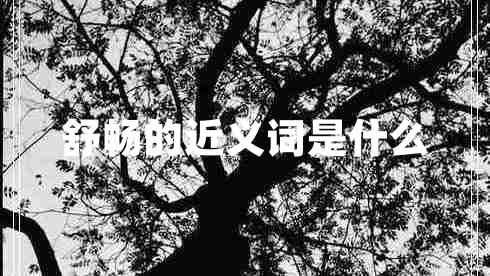 舒畅的近义词是什么