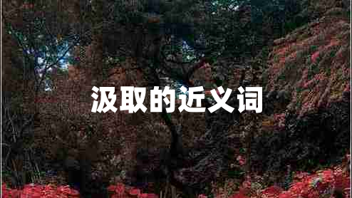 汲取的近义词