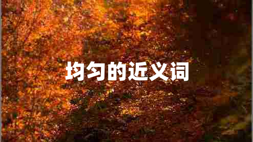 均匀的近义词