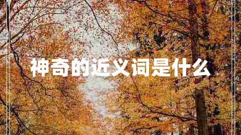 神奇的近义词是什么