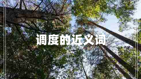 调度的近义词
