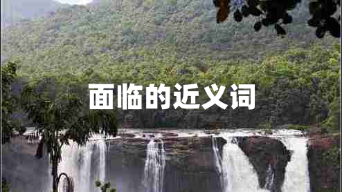 面临的近义词