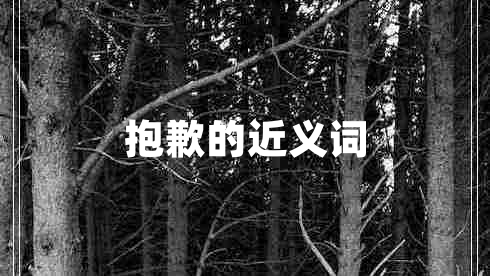 抱歉的近义词