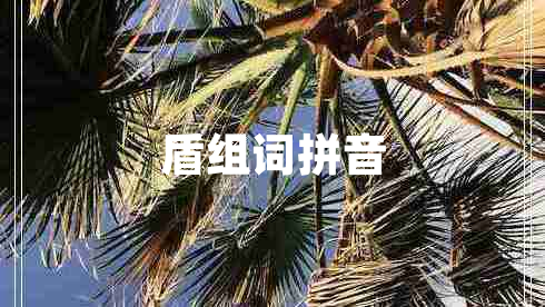 盾组词拼音