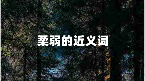 柔弱的近义词