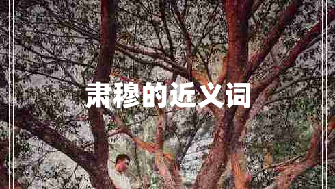 肃穆的近义词