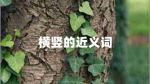 横竖的近义词