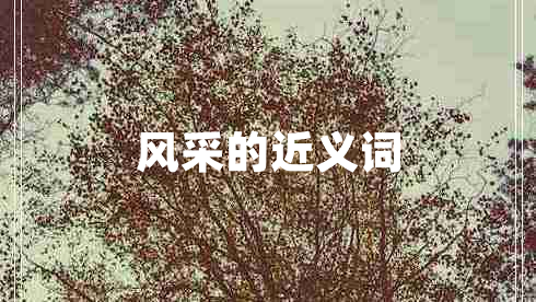 风采的近义词