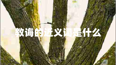 教诲的近义词是什么