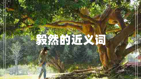 毅然的近义词