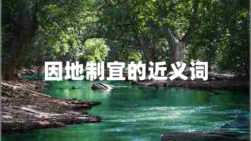 因地制宜的近义词