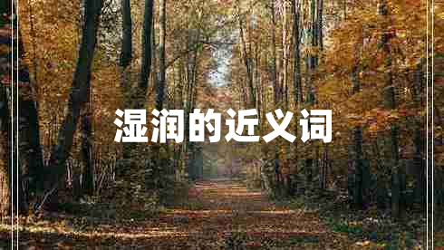 湿润的近义词