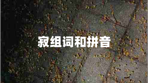 寂组词和拼音