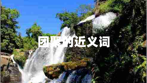 团聚的近义词