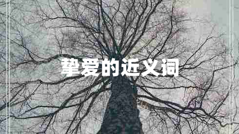 挚爱的近义词