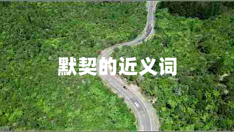 默契的近义词