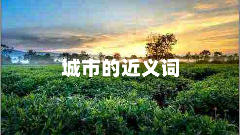 城市的近义词